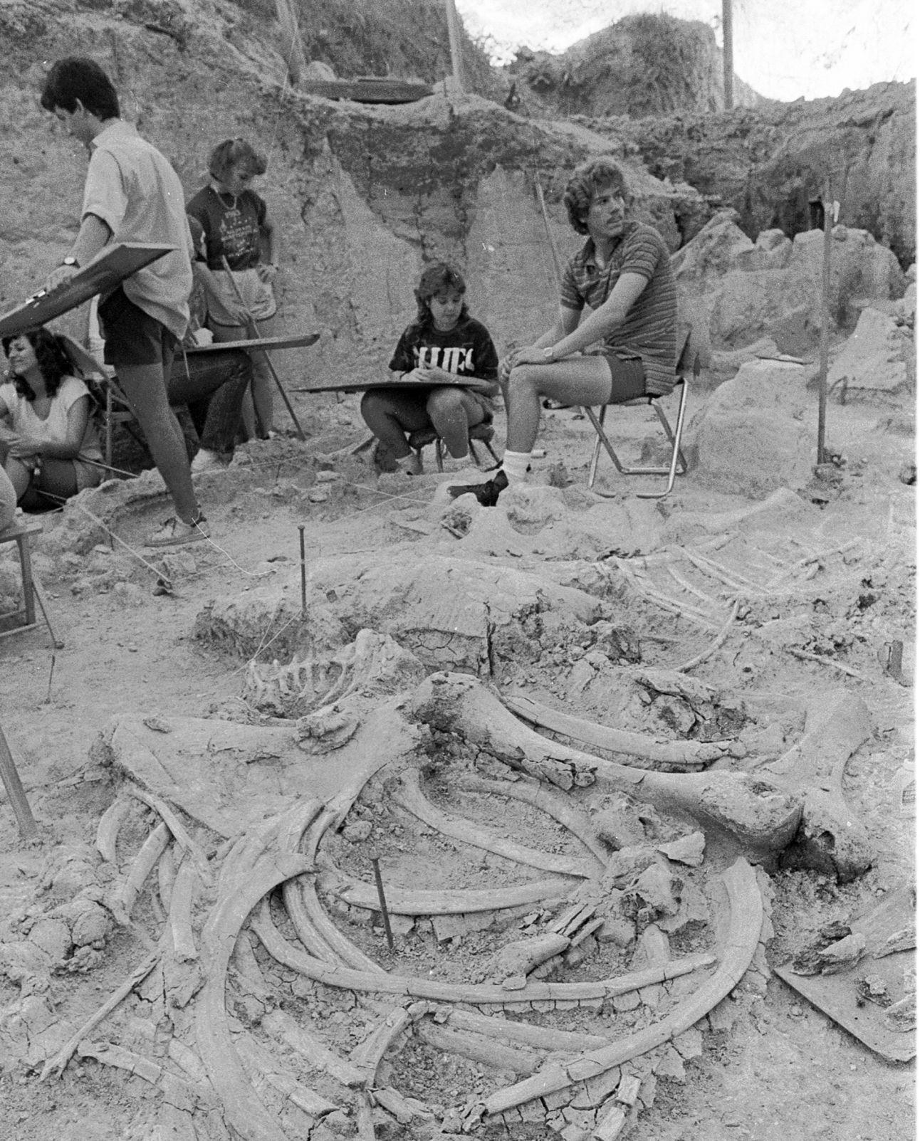 Paleontologist Mammoth
